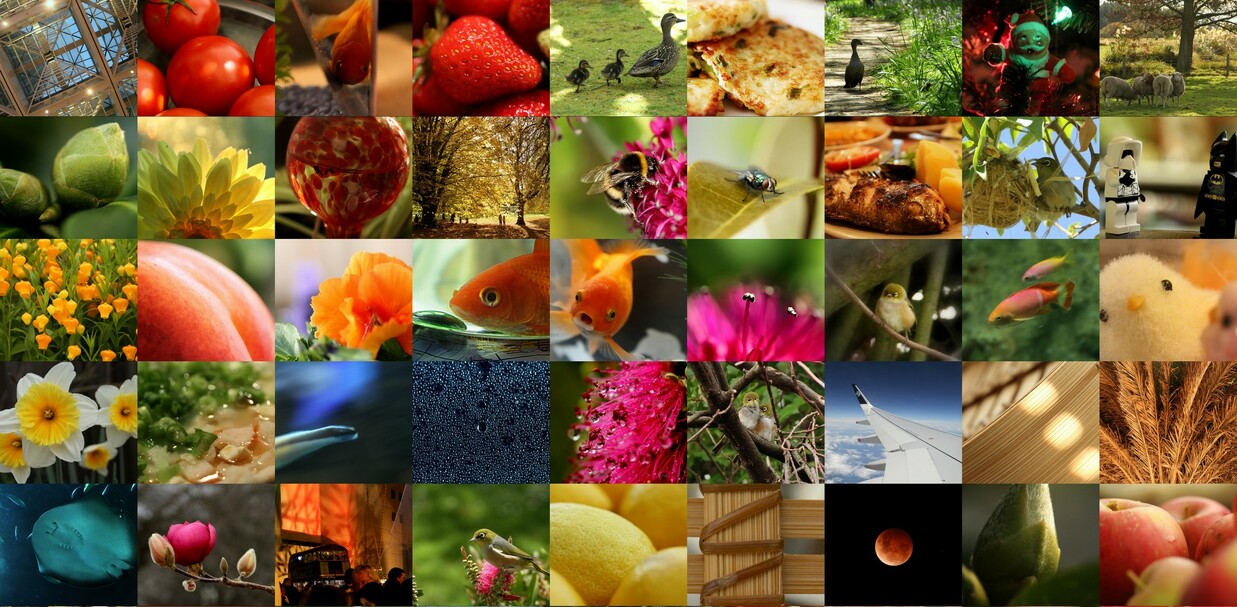 User banner