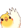 :birb_wave: