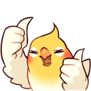 :birb_thumbs_up: