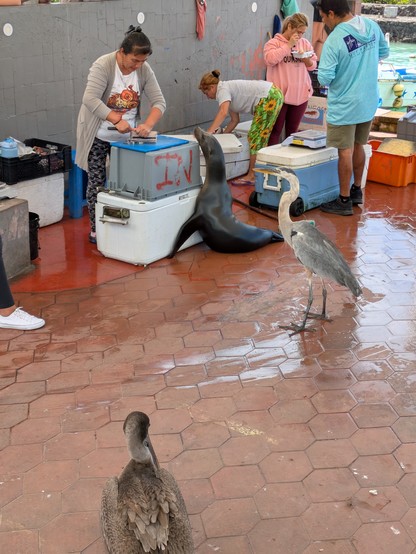 Keen seafood fans.