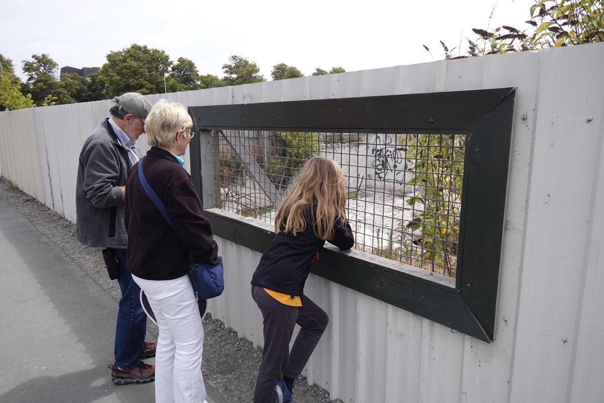 A photo from 2020 of the three people watching gulls through a wire meshed viewing window in a fence. The gull colony was somewhere between an attraction and a curiosity and a nuisance, depending on who you talked to. The photo shows my daughter and two visiting animal behaviour experts from the US, so it was definitely an attraction for them.