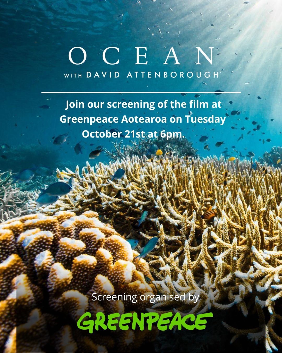 Photo of coral and fish under the surface of the ocean.
Text overlaid reads:
OCEAN with David Attenborough
Join our screening of the film at Greenpeace Aotearoa on Tuesday October 21st at 6pm.
Screening organised by Greenpeace