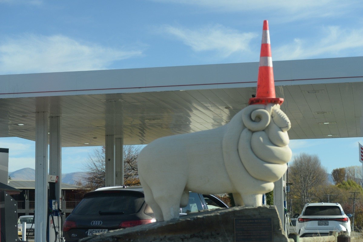 A photo of a white sculpture of a merino sheep, from Omarama. Someone had put an orange traffic cone on its head.

The sheep now stands on a rock next to a petrol station at the entrance to the town.
