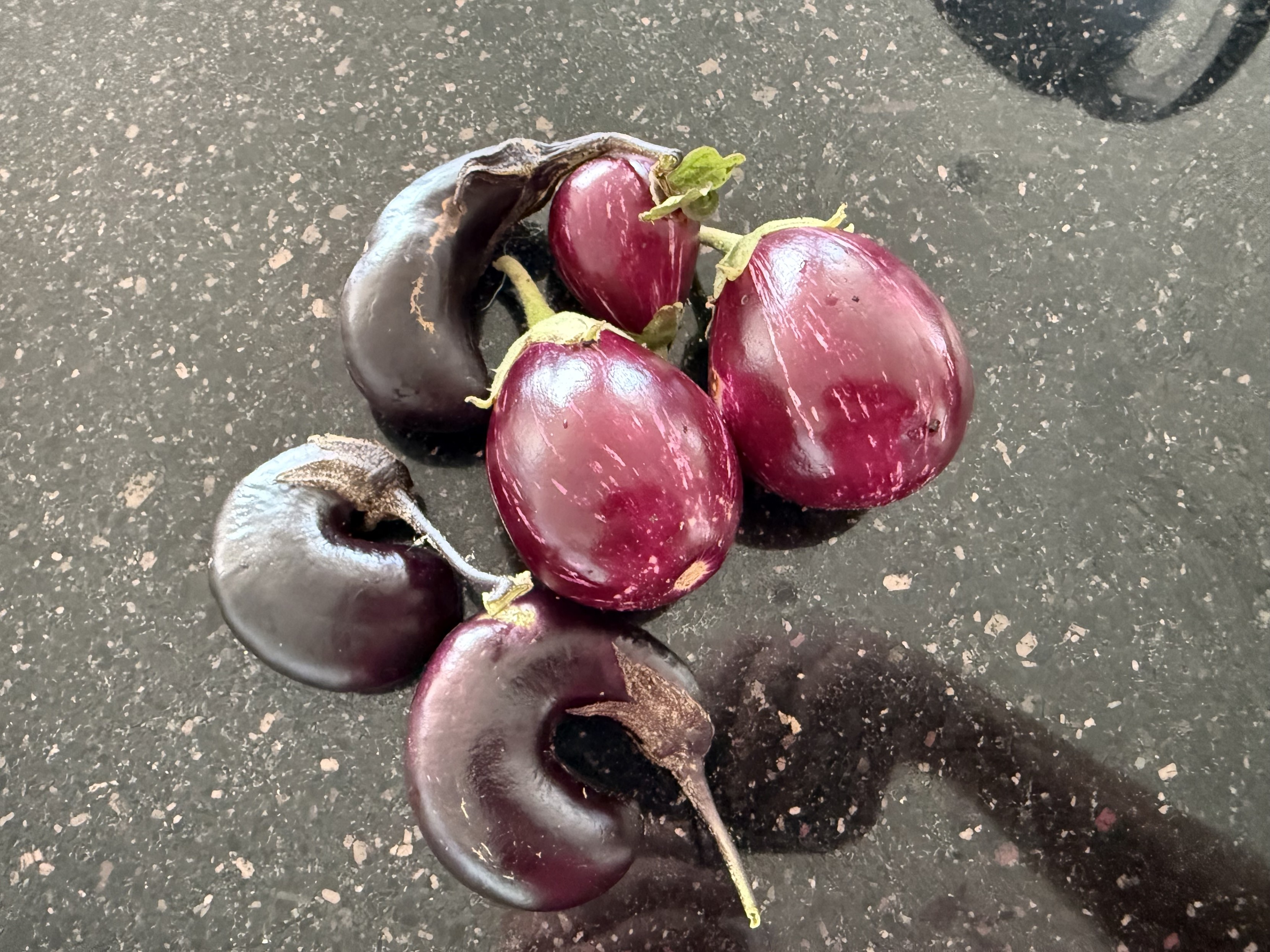 Three Japanese and three Thai purple eggplants. The Japanese eggplants are quite small and quite curved.