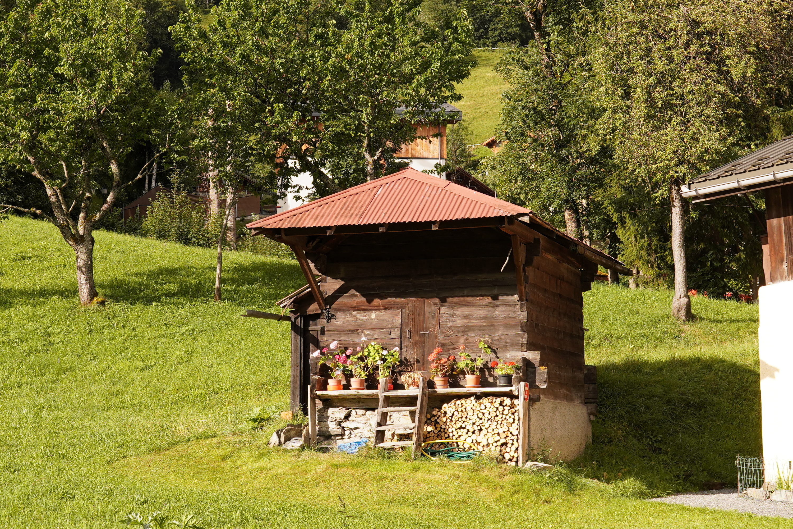 A shed, with firewood below, and a bunch of potted flowers on the sills outside. Definitely got the Alpine look going.