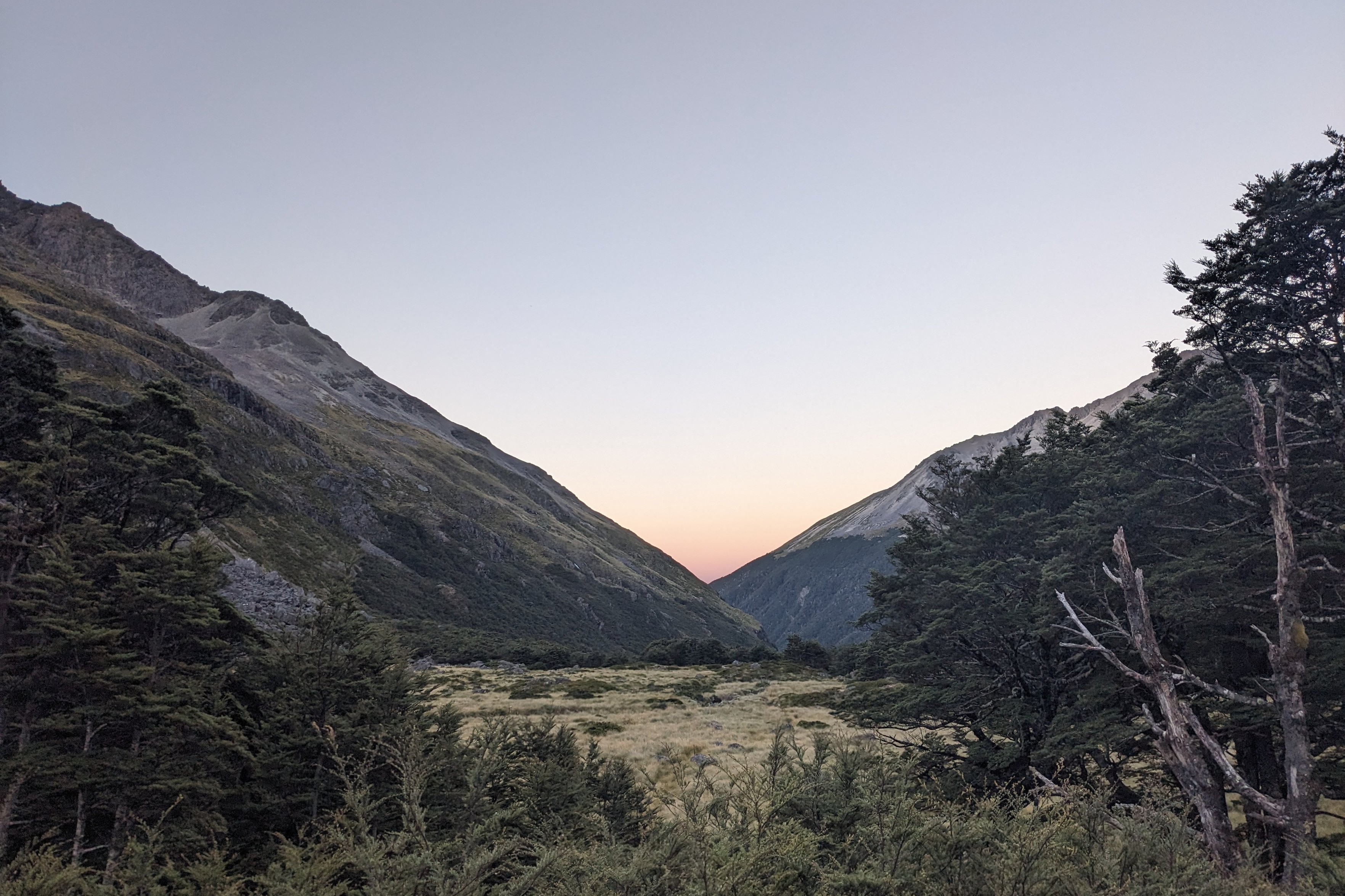 Meadow view at dusk, with the sky clear and slightly pink. There are trees at the edges of the meadow.