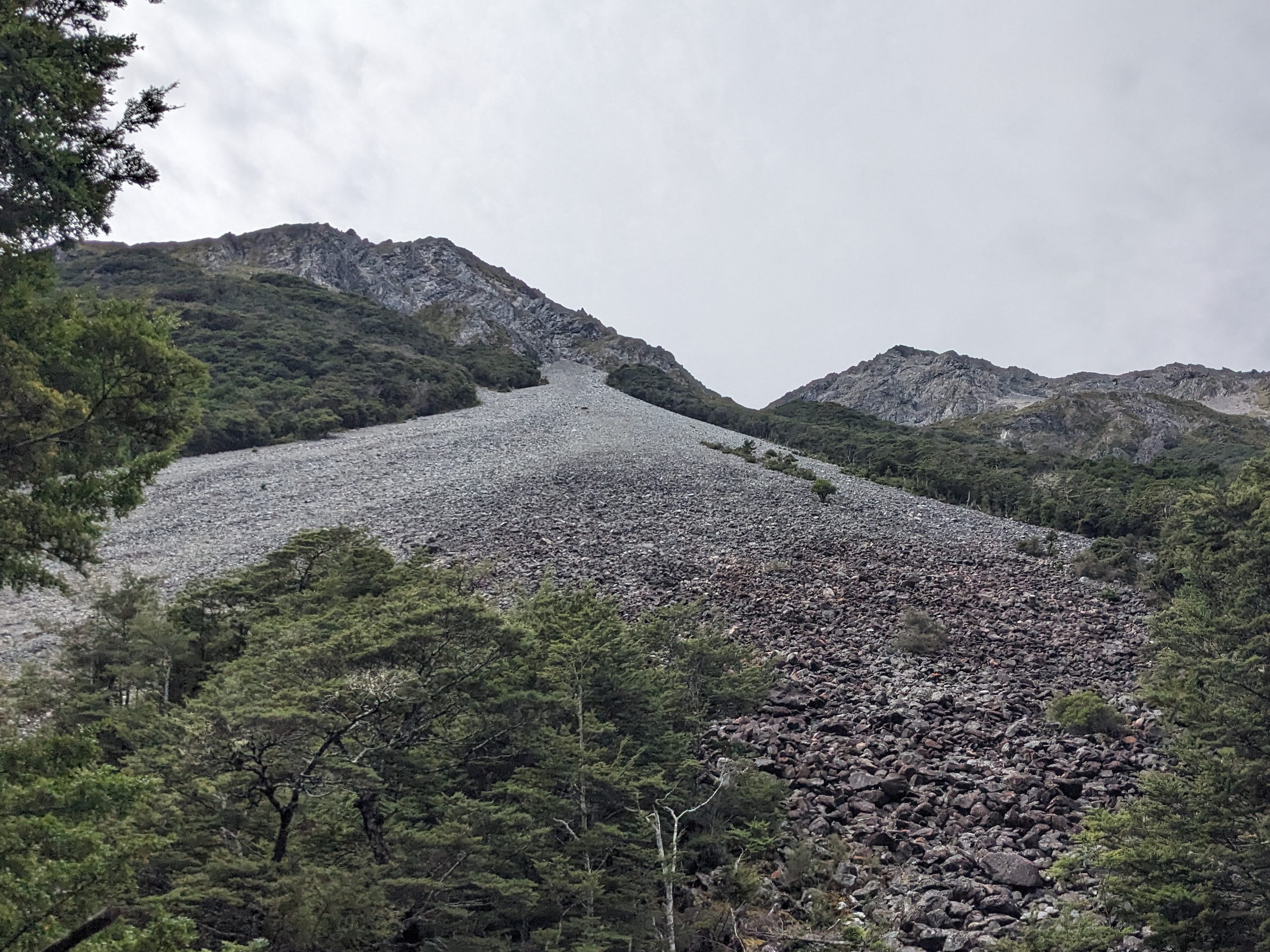 A massive scree field leading up to a small summit, surrounded by forest. Looks like good avalanche terrain.