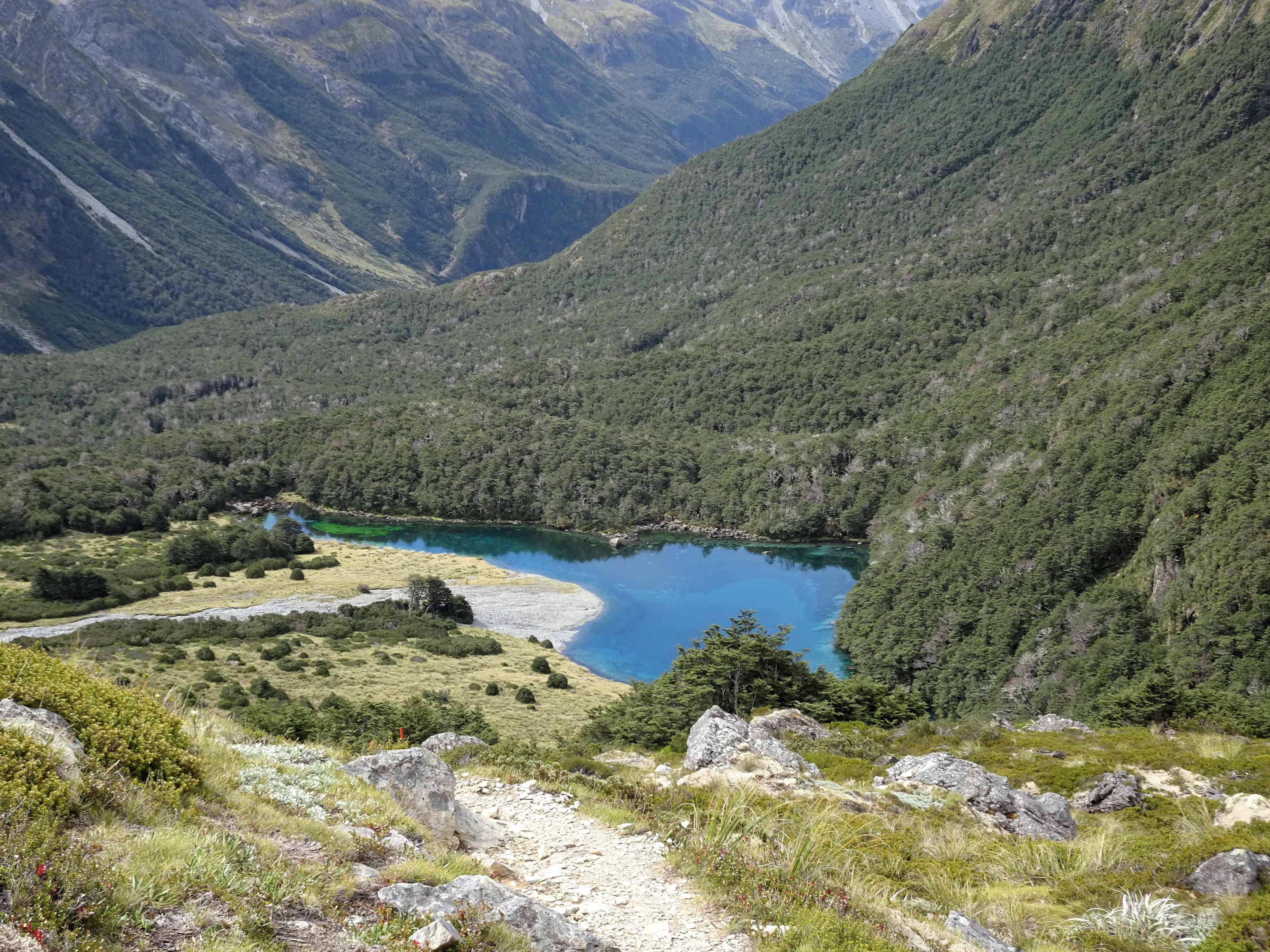 A view of a lake from above. I can't really describe the shape of the lake. Maybe if you squint you could say it's kiwi-shaped. It's definitely blue, though a bit darker than turquoise. It's surrounded by forests in back of it, and grasses in front. Mountain ridges behind, of course.