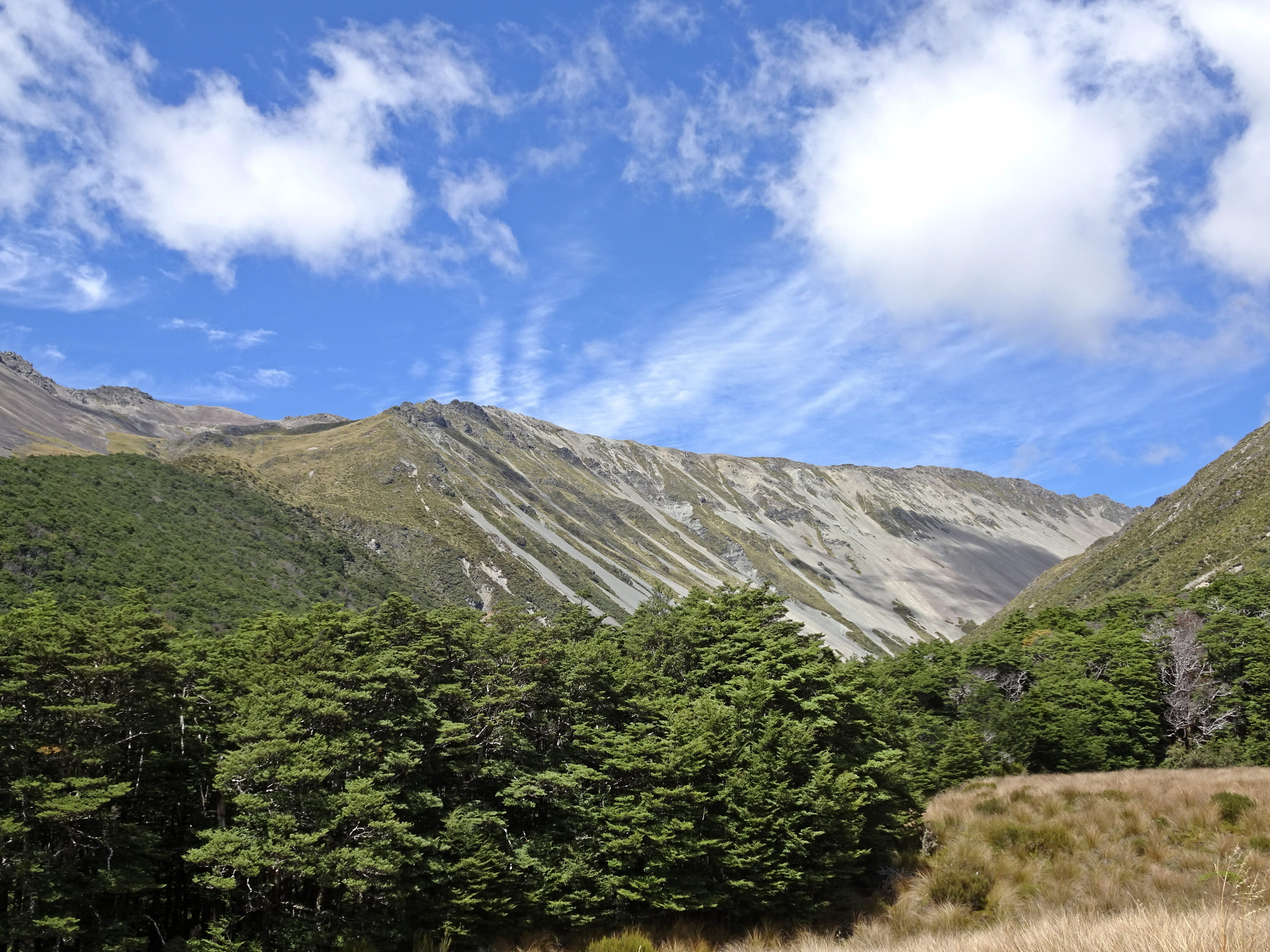 Robert Ridge, which is pretty weathered looking with a bunch of scree, and a little bit of cloud cover, but mostly sunny. There are some trees and grass in foreground.