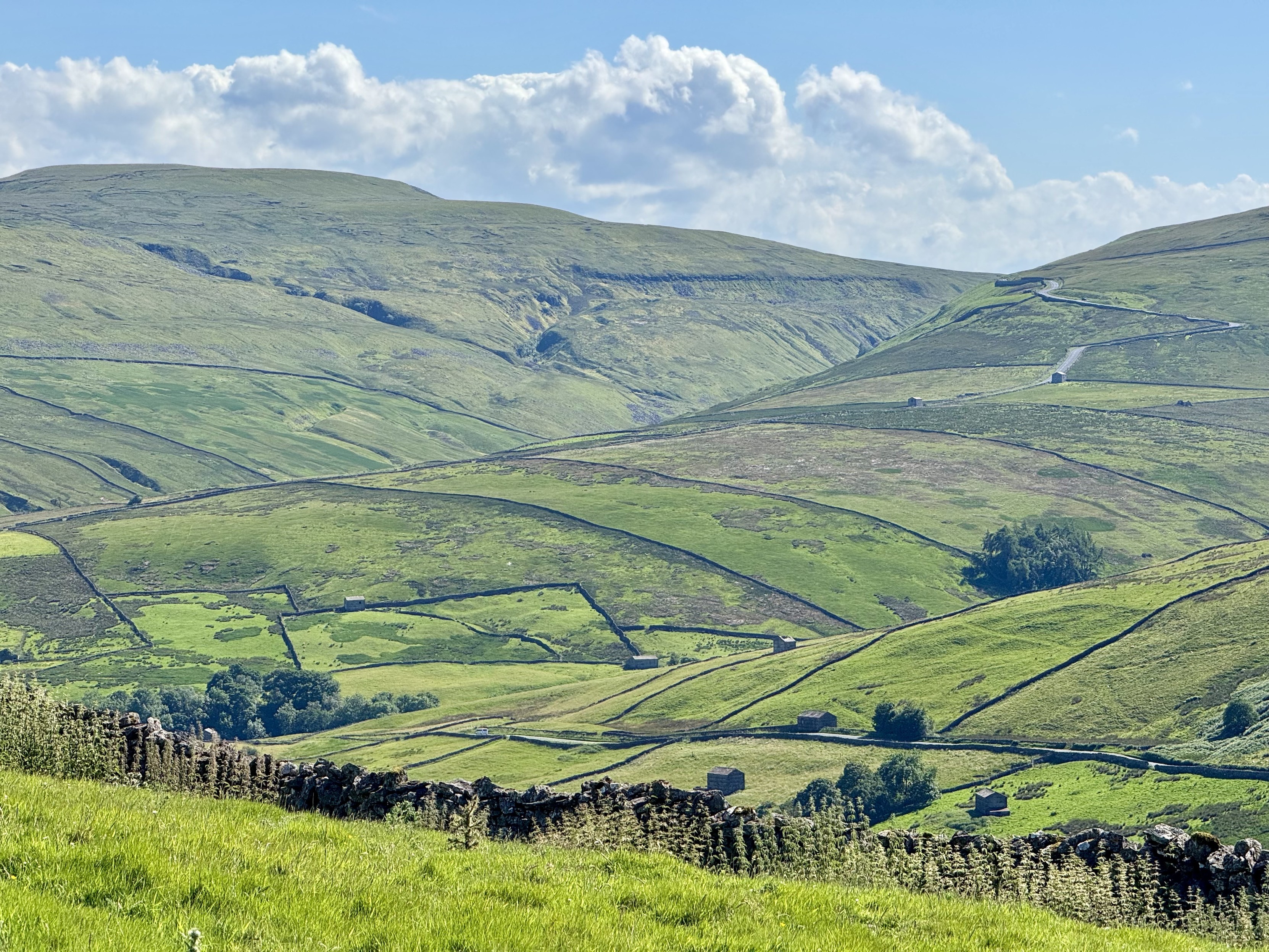 Grassy hills sectioned by drystone walls