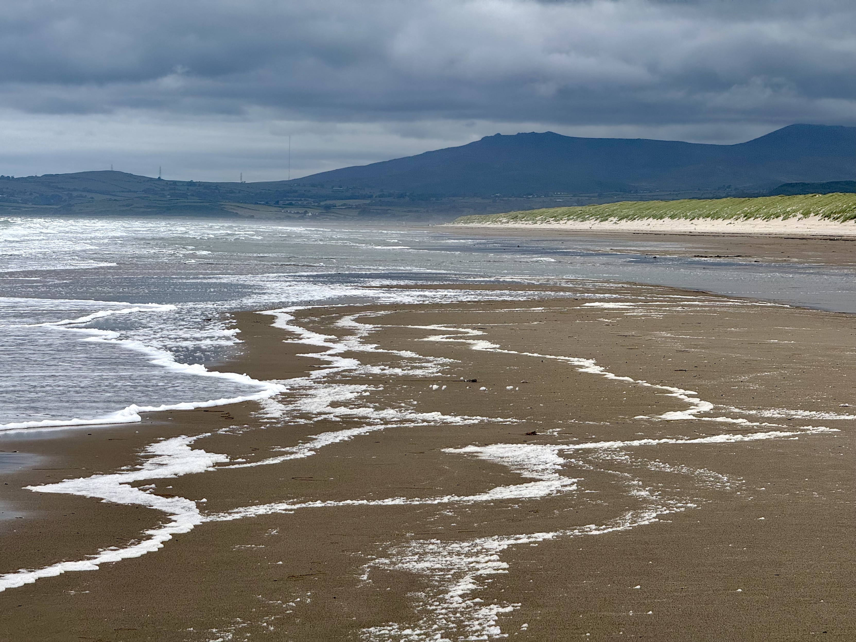 Sea foam on golden sands; mountains of the national park in background