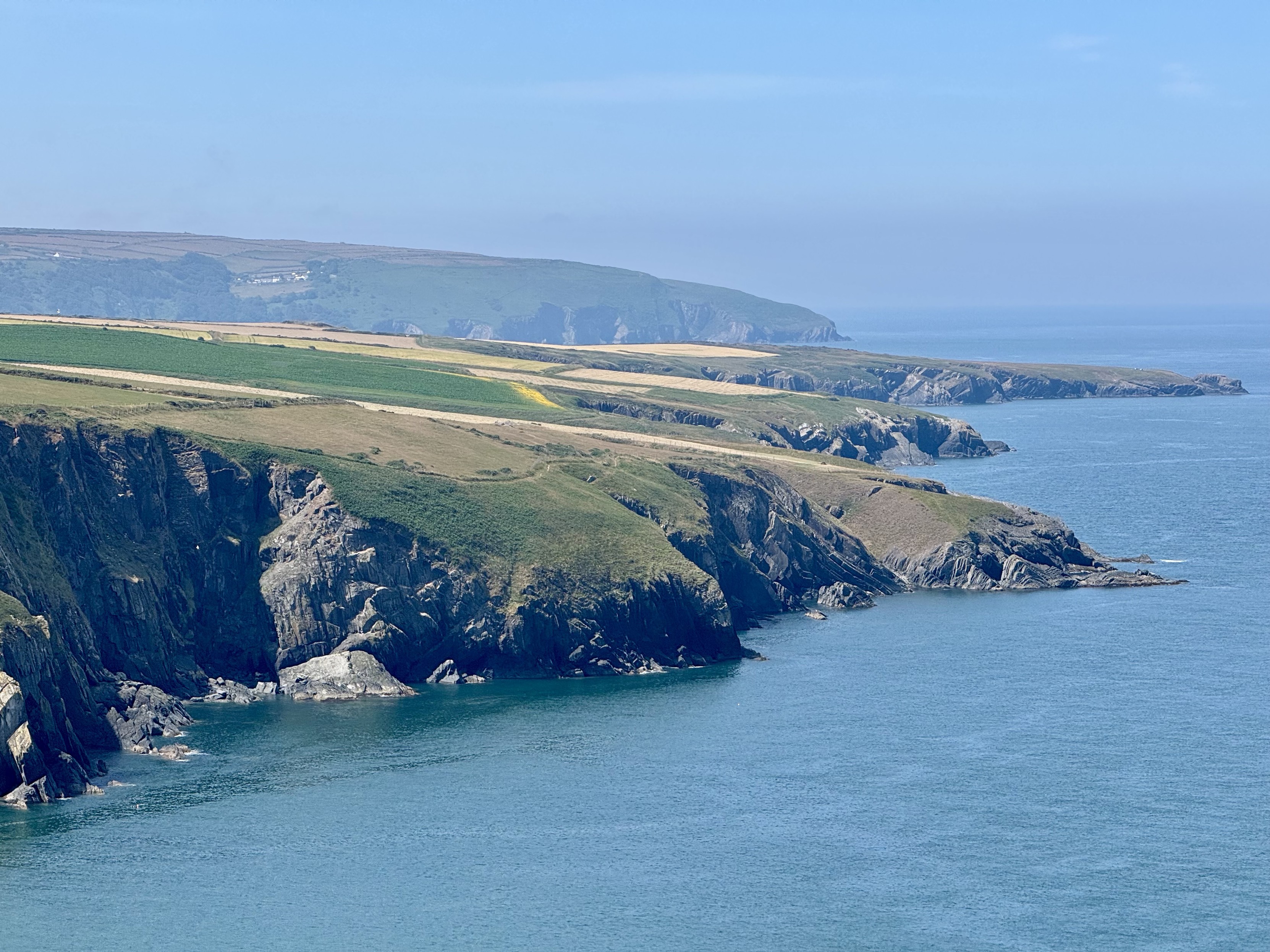 Sloping pastures ending in sea cliffs