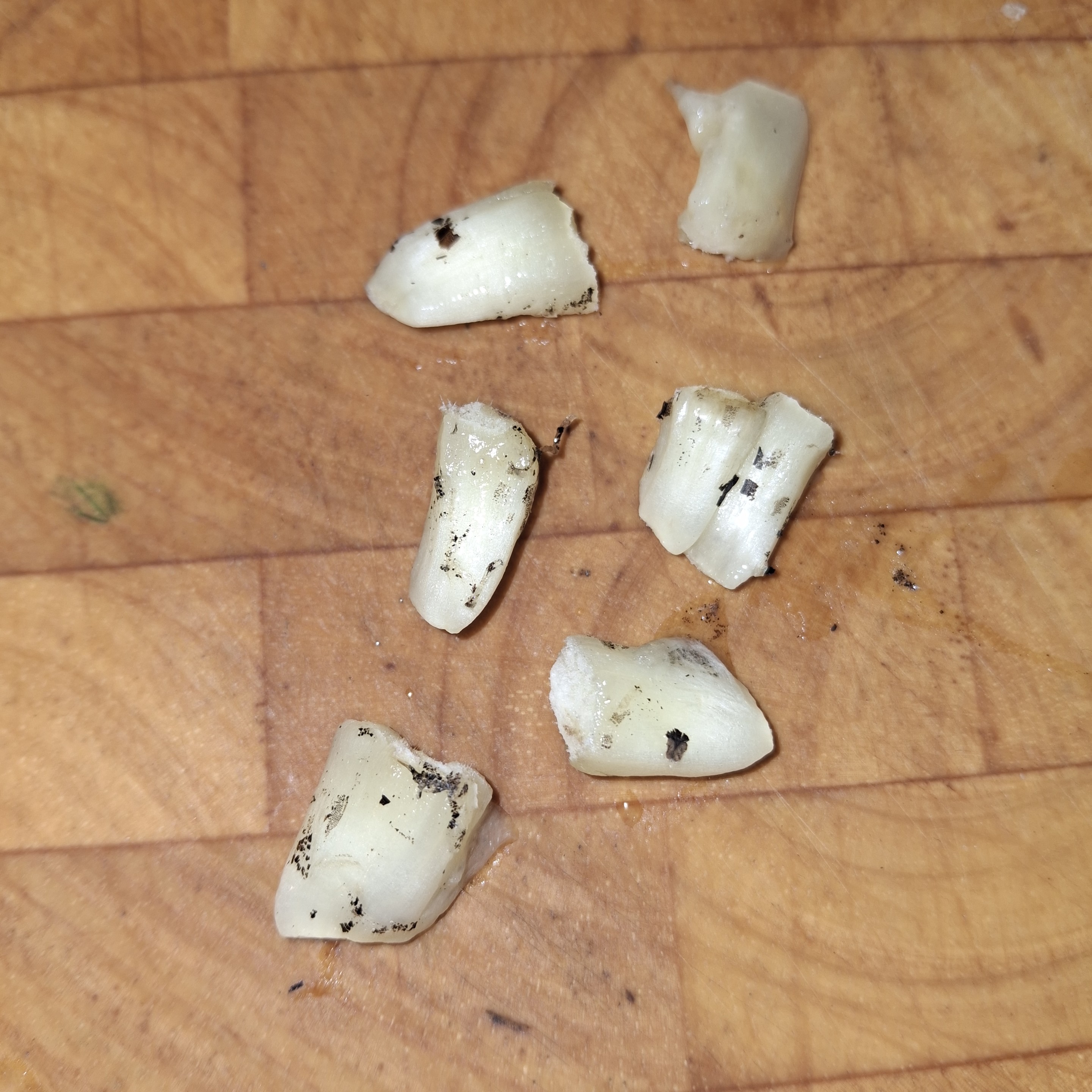 Kernels from a fruit salad (Monstera deliciosa) fruit on a wooden chopping board. They are a cream colour with small black flecks on the outside.