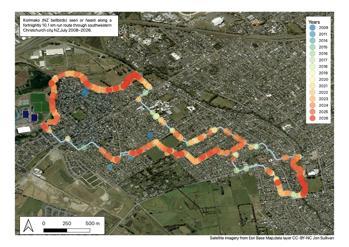 A GIS map of my 10.1 km run route through southwestern Christchurch city, with coloured points on the map showing each korimako I saw or heard. The cooler coloured points are earlier years and the warmer coloured points are recent years. (See the animation on the next post if you want a better look at each run.)