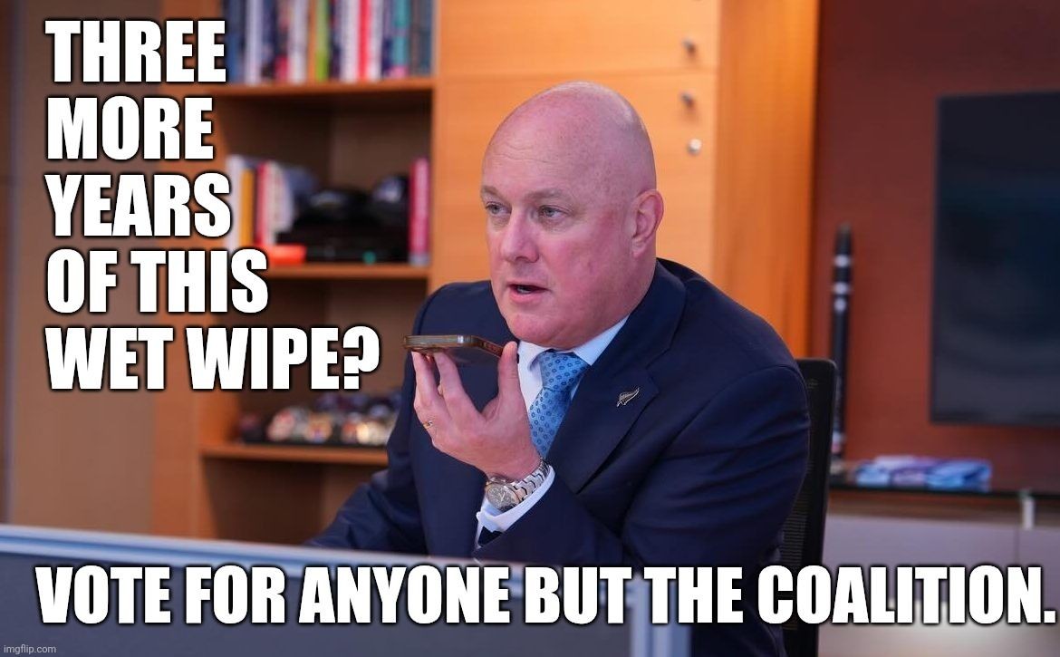 Picture of Prime Minister Christopher Luxon speaking on a mobile phone.

Text reads
Three more years of this wet wipe?

Vote for anyone but the Coalition.