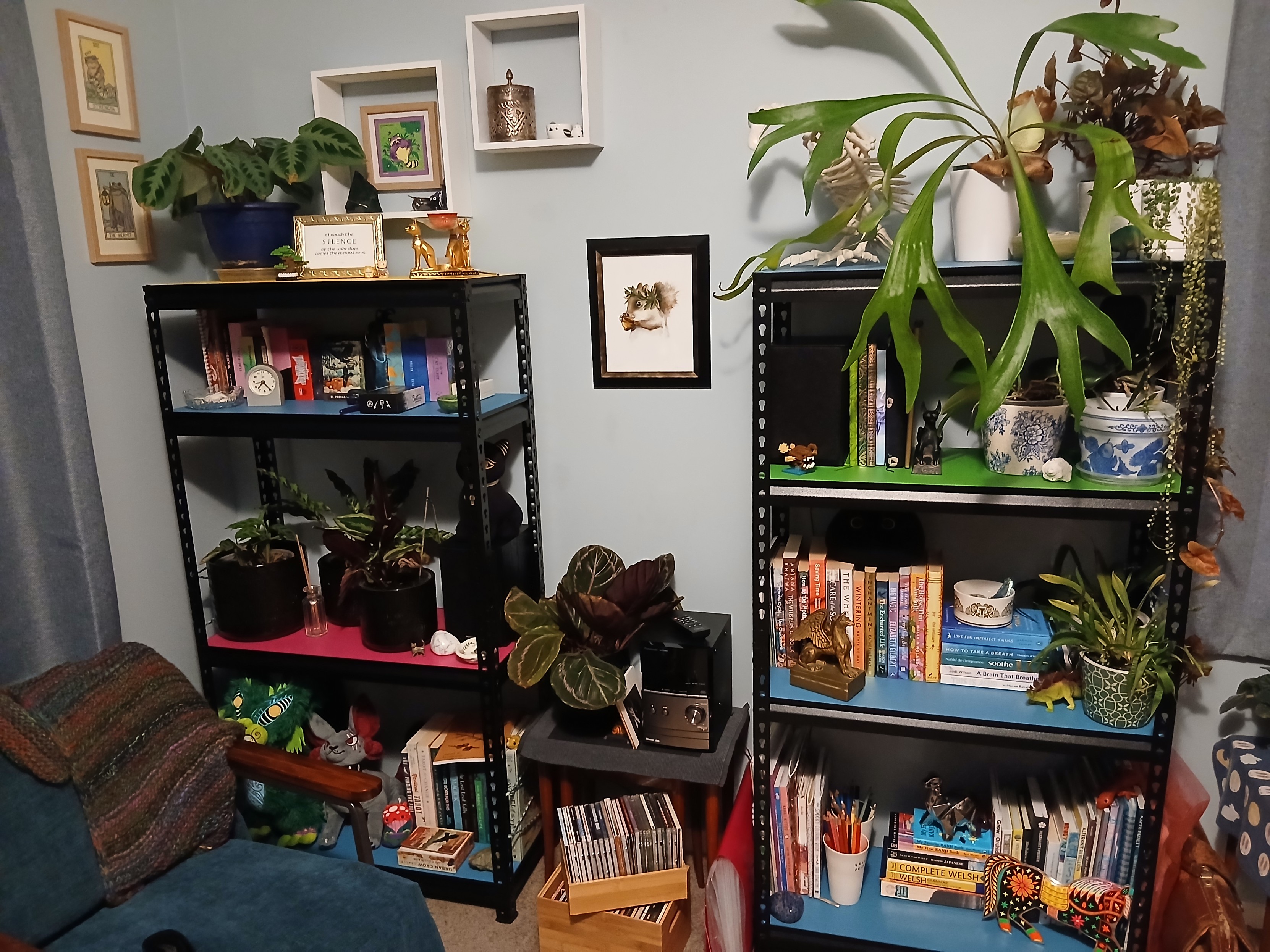 Two shelving units sit against a pale blue wall with a low table between them. The shelves are officially workshop shelves made of black metal frames with mdf shelves which have been painted in cheery colours. They hold a generous array of plants and books and tarot decks and ornaments.